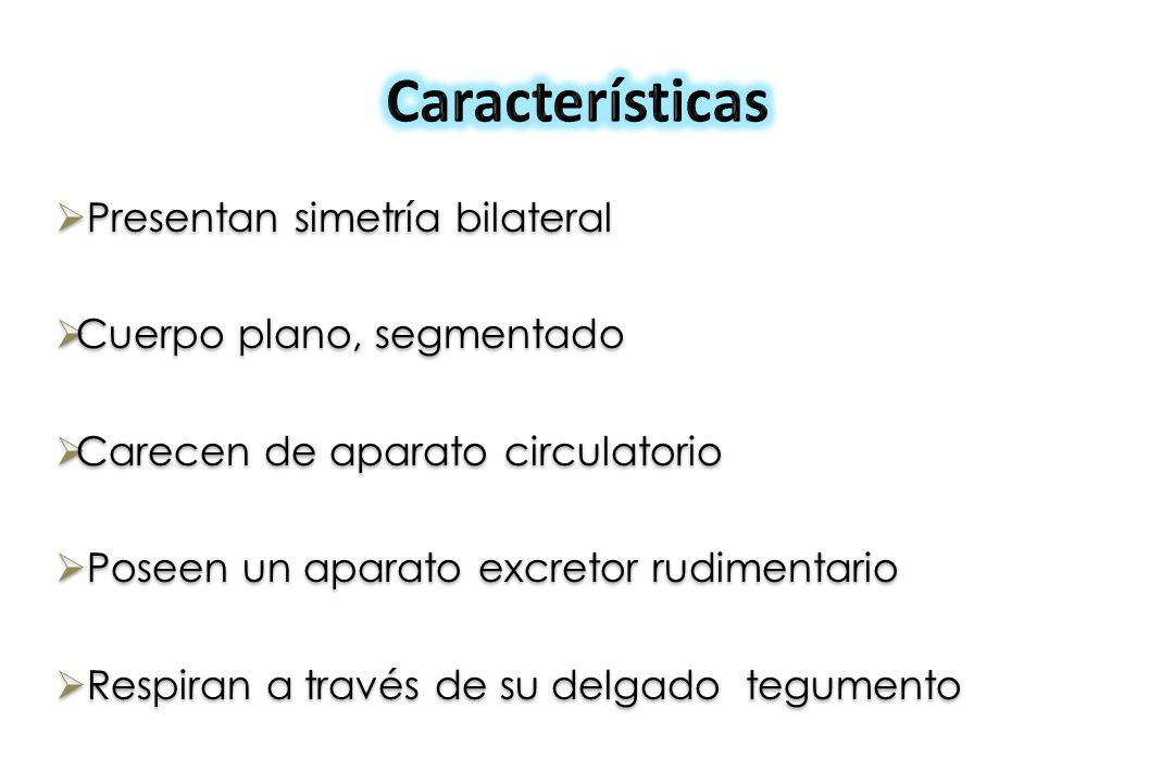 Cuales de los platelmintos son parasitos del ser humano